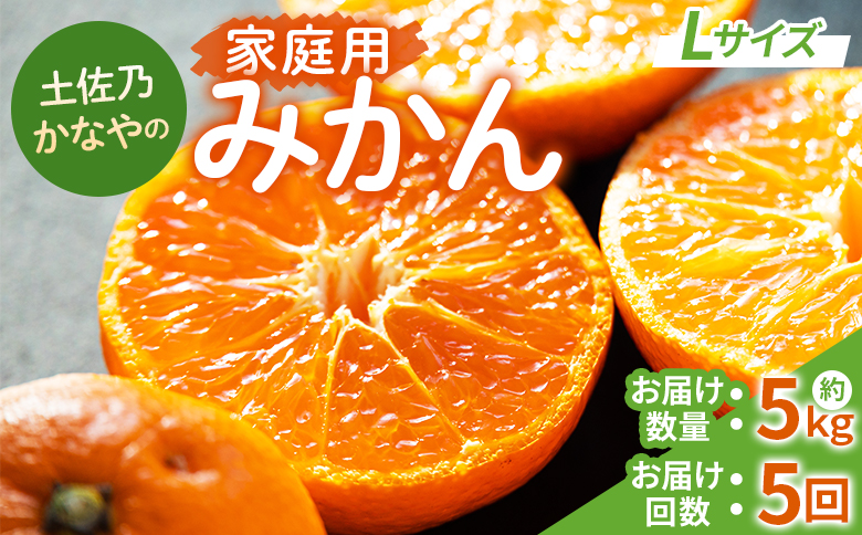 【みかん定期便 5回】土佐乃かなやの家庭用みかん5kg(Lサイズ)×5回 合計25kg - 定期便 数量 国産 早生みかん 極早生みかん グリーンみかん 蜜柑 ミカン 柑橘 果物 くだもの フルーツ ご家庭用 ご自宅用 Benifare 高知県 香南市 常温 Wbe-0125