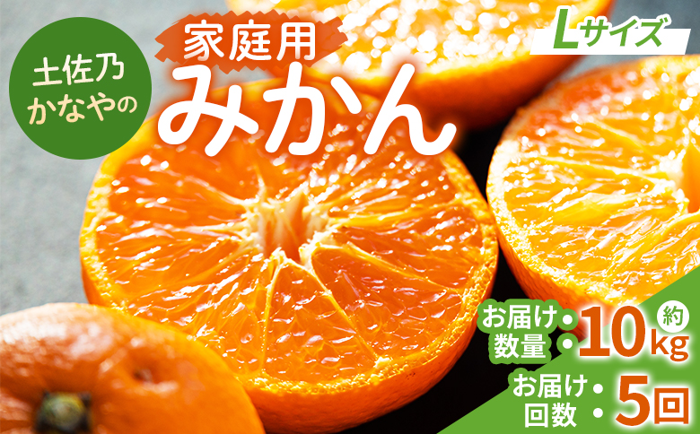 【みかん定期便 5回】土佐乃かなやの家庭用みかん10kg(Lサイズ)×5回 合計50kg - 定期便 数量 国産 早生みかん 極早生みかん グリーンみかん 蜜柑 ミカン 柑橘 果物 くだもの フルーツ ご家庭用 ご自宅用 Benifare 高知県 香南市 常温 Wbe-0126