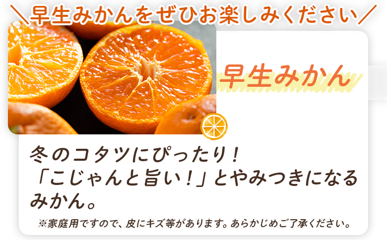 【みかん定期便 3回】土佐乃かなやのみかん5kg(S～Lサイズ)×3回 合計15kg - 定期便 数量 国産 早生みかん 蜜柑 ミカン 柑橘 果物 くだもの フルーツ ご家庭用 ご自宅用 Benifare 高知県 香南市 常温 Wbe-0127