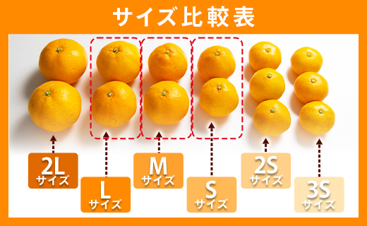 訳あり 山北みかん ご家庭用 約5kg（約40〜60個） 山北みらい - 果物 フルーツ 柑橘類 温州みかん ミカン 蜜柑 訳アリ わけあり 生産者応援 甘い おいしい 高知県 香南市 yk-0058