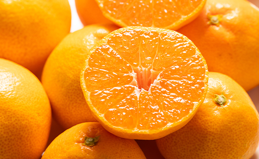 訳あり 山北みかん ご家庭用 約5kg（約40〜60個） 山北みらい - 果物 フルーツ 柑橘類 温州みかん ミカン 蜜柑 訳アリ わけあり 生産者応援 甘い おいしい 高知県 香南市 yk-0058