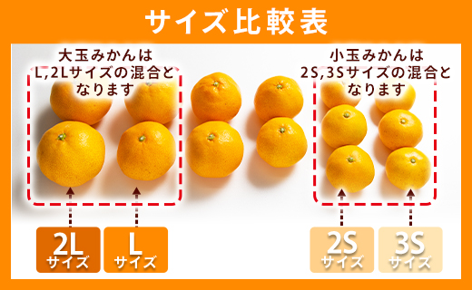 山北みかん 大玉サイズ(L,2Lサイズ) 10kg 約60〜80個入り 甘い - 果物 フルーツ 柑橘類 温州みかん ミカン 蜜柑 甘い おいしい 美味しい 山北みらい 高知県 香南市 yk-0065