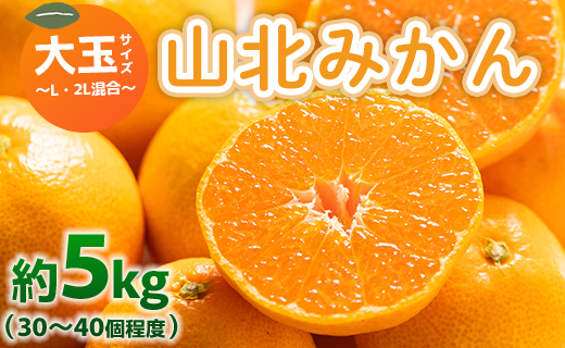 山北みかん 大玉サイズ L・2L混合 約5kg（30〜40個程度） 山北みらい - 果物 フルーツ 柑橘類 温州みかん ミカン 蜜柑 甘い おいしい 美味しい 高知県 香南市 yk-0061