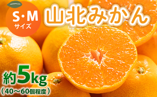 山北みかん S・Mサイズ 約5kg（40〜60個程度） 山北みらい 秀品 - 果物 フルーツ 柑橘類 温州みかん ミカン 蜜柑 甘い おいしい 美味しい 高知県 香南市 yk-0062