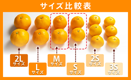 山北みかん (S,Mサイズ) 3kg 秀品 約25〜40個入り 甘い - 果物 フルーツ 柑橘類 温州みかん ミカン 蜜柑 甘い おいしい 美味しい 山北みらい 高知県 香南市 yk-0066