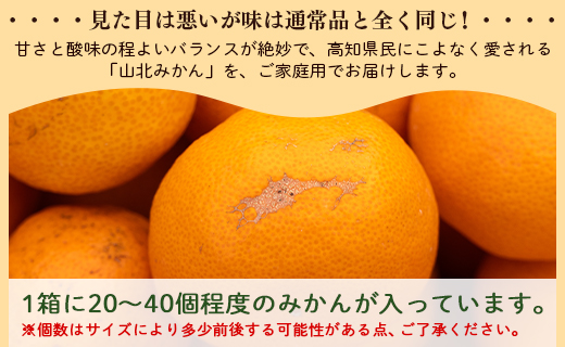 訳あり 山北みかん ご家庭用 3kg 約20～40個入り - 果物 フルーツ 柑橘類 温州みかん ミカン 蜜柑 訳アリ わけあり 生産者応援 甘い おいしい 美味しい 山北みらい 高知県 香南市 yk-0027