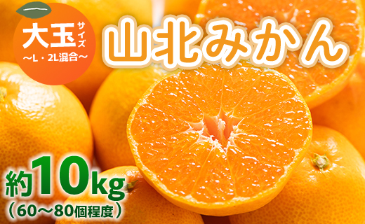 山北みかん 大玉サイズ(L,2Lサイズ) 10kg 約60〜80個入り 甘い - 果物 フルーツ 柑橘類 温州みかん ミカン 蜜柑 甘い おいしい 美味しい 山北みらい 高知県 香南市 yk-0065