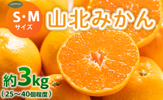 山北みかん (S,Mサイズ) 3kg 秀品 約25〜40個入り 甘い - 果物 フルーツ 柑橘類 温州みかん ミカン 蜜柑 甘い おいしい 美味しい 山北みらい 高知県 香南市 yk-0066
