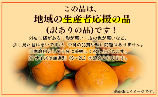 家庭用 山北ポンカン 5kg(約30～50個程度) - 果物 フルーツ 柑橘類 ぽんかん ミカン 蜜柑 訳アリ わけあり 生産者応援 甘い おいしい 美味しい 山北みらい 高知県 香南市 yk-0031