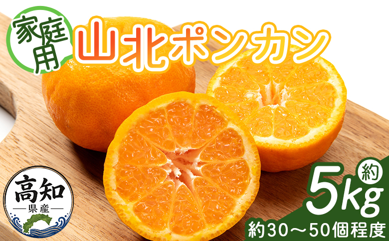 ぽんかん 5kg(約30〜50個程度) 訳あり 山北ポンカン - 果物 フルーツ 柑橘類 ぽんかん ミカン 蜜柑 訳アリ わけあり 生産者応援 甘い おいしい 美味しい 山北みらい 高知県 香南市 yk-0081