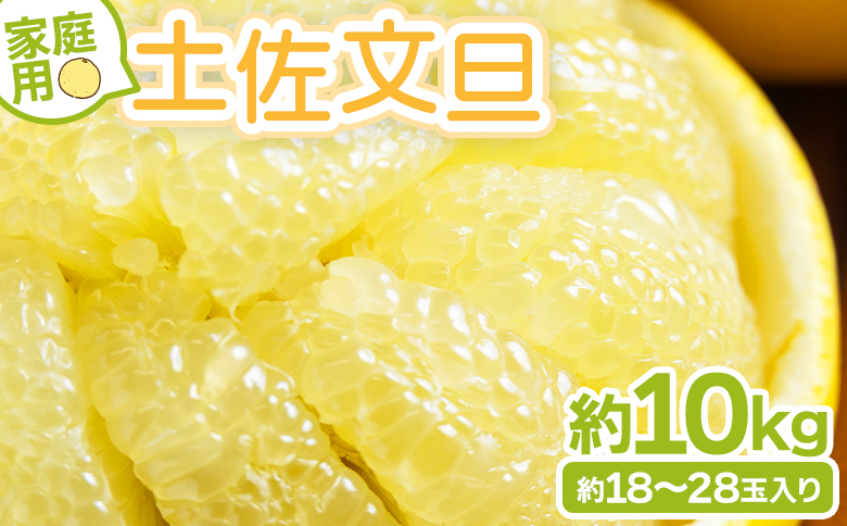 【先行予約】土佐文旦 家庭用 10kg 大小混合(L〜3L) 約18〜28玉入り yk-0070