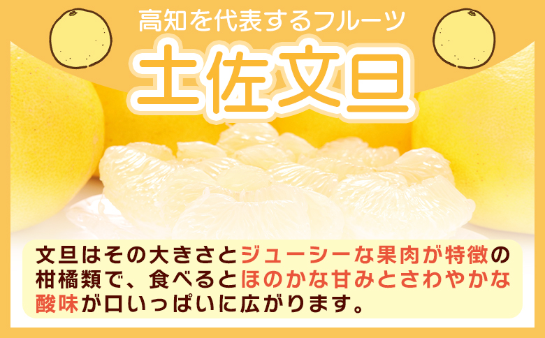 åäœææŠ å®¶åºçš 3kg 倧尿··å(ãµã€ãºïŒLïœ3L) - æç© ãã«ãŒã ææ© ã¶ããã ãã³ã¿ã³ ãããã éæç¡æ ç¹ç£å æééå® å±±åã¿ãã é«ç¥ç éŠååž åžžæž© yk-0071