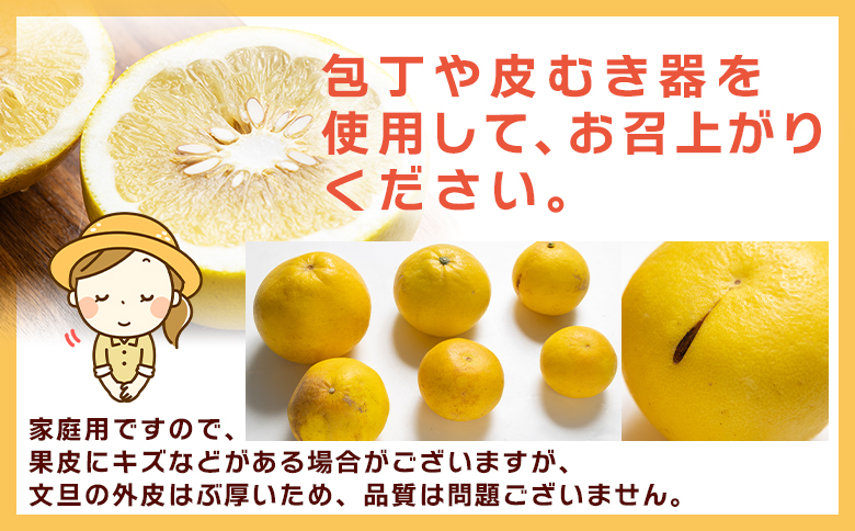 åäœææŠ å®¶åºçš 3kg 倧尿··å(ãµã€ãºïŒLïœ3L) - æç© ãã«ãŒã ææ© ã¶ããã ãã³ã¿ã³ ãããã éæç¡æ ç¹ç£å æééå® å±±åã¿ãã é«ç¥ç éŠååž åžžæž© yk-0071