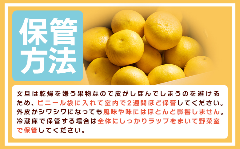 åäœææŠ å®¶åºçš 3kg 倧尿··å(ãµã€ãºïŒLïœ3L) - æç© ãã«ãŒã ææ© ã¶ããã ãã³ã¿ã³ ãããã éæç¡æ ç¹ç£å æééå® å±±åã¿ãã é«ç¥ç éŠååž åžžæž© yk-0071