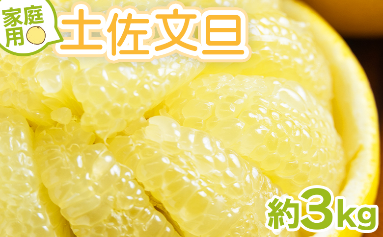 土佐文旦 家庭用 3kg 大小混合(サイズ：L～3L) - 果物 フルーツ 柑橘 ぶんたん ブンタン おいしい 送料無料 特産品 期間限定 山北みらい 高知県 香南市 常温 yk-0071