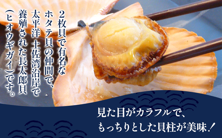 レンジでチン！する長太郎貝 10枚入 約800g - ヒオウギ貝 ひおうぎ貝 魚介類 海鮮 海産物 個包装 貝柱 酒蒸し バーベキュー BBQ アウトドア キャンプ 興洋フリーズ株式会社 高知県 香南市 冷凍 kf-0001