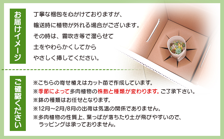多肉植物の寄せ植え 1個 - 鉢植え インテリア ガーデニング おしゃれ