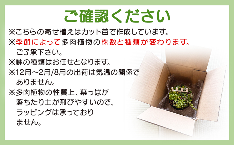 多肉植物の寄せ植え Mサイズ - 鉢植え インテリア ガーデニング おしゃれ グリーン プレゼント 観葉植物 多肉 植物 寄せ植え かわいい お楽しみ 自然 PUKUTTO 高知県 香南市 pk-0005