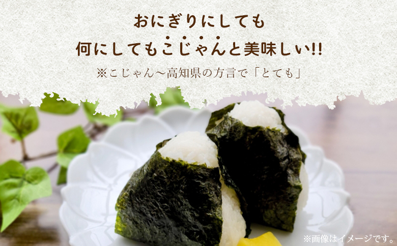 愛情注いで育てたコシヒカリの新米5kg - こしひかり お米 白米 精米 ご飯 ごはん 株式会社都築企画 高知県 香南市 td-0004