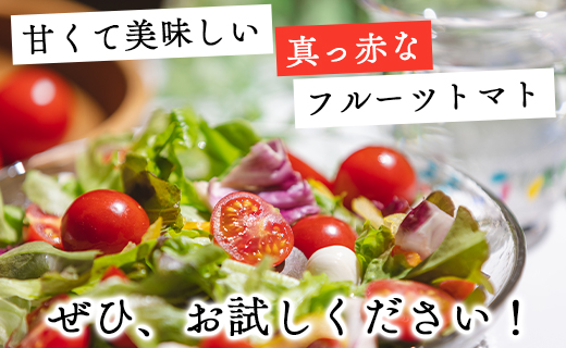 高糖度＆高機能性 フルーツトマト 1kg 6カ月定期便 合計6kg -甘美の舞 期間限定 季節限定 野菜 やさい フルティカ 完熟 ミニトマト プチ 新鮮 お弁当 贈り物 サラダ 産地直送 高知県 香南市 Wkr-0033