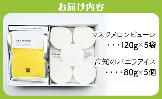 マスクメロンピューレと高知のバニラアイス 5個セット - テレビ「めざましどようび キクエがキクヨ！」で紹介 JALファーストクラス機内食に採用 果物 くだもの めろん 果汁100% 丸搾り まるごと ストレート アイスクリーム 篤農 tn-0021