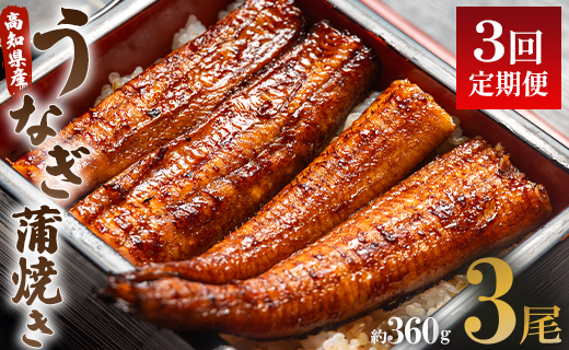 うなぎ 定期便 3回 うなぎ蒲焼き120g 3尾(無頭) 魚介 国産 海鮮 魚 かばやき 鰻 ウナギ 惣菜 おかず お手軽 加工品 加工食品 冷凍 Wun-0028