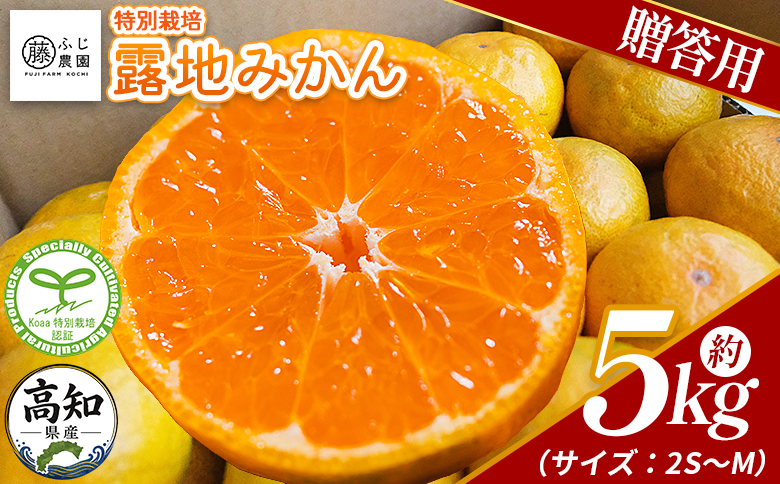 【2026年10月以降順次配送分】ふじ農園の露地みかん 贈答用 5kg (2S～M) - みかん 温州みかん 国産 蜜柑 ミカン 柑橘 果物 フルーツ 贈答 プレゼント ギフト 贈り物 ふじ農園 高知県 香南市 常温 fn-0010
