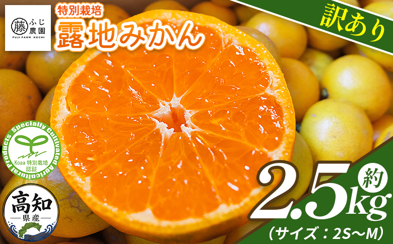 【2026年10月以降順次配送分】ふじ農園の露地みかん 訳あり品 2.5kg (2S～M) - 国産 蜜柑 ミカン 柑橘 果物 フルーツ 訳アリ ご家庭用 家庭用 自宅用 ふじ農園 高知県 香南市 常温 fn-0012