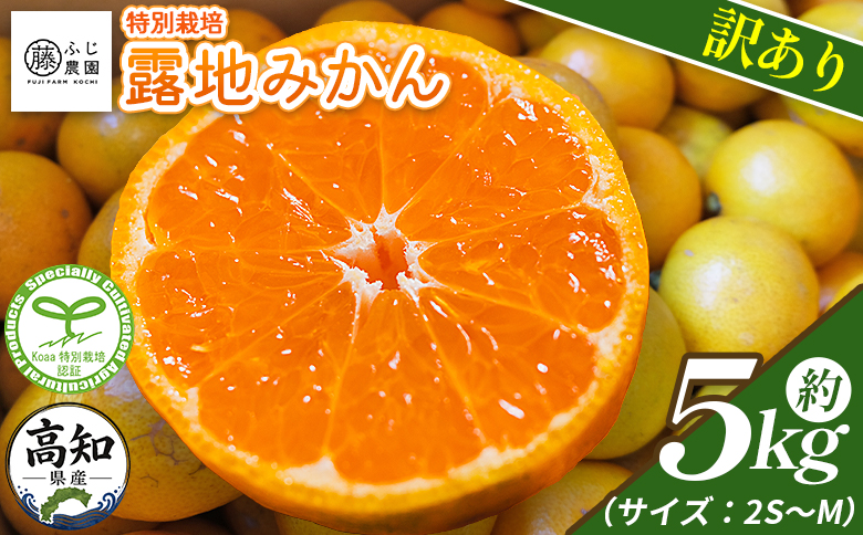 【2026年10月以降順次配送分】ふじ農園の露地みかん 訳あり品 5kg (2S～M) - 国産 蜜柑 ミカン 柑橘 果物 フルーツ 訳アリ ご家庭用 家庭用 自宅用 ふじ農園 高知県 香南市 常温 fn-0013