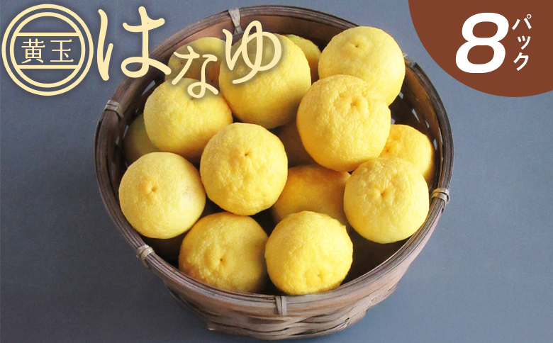 [2026年11月以降順次配送]虎弥太郎 はなゆ黄玉 8パック - 国産 ゆず 柚子 ユズ 花柚子 柑橘 香酸柑橘 果物 花皮果汁 フルーツ 果実 料理 酒 ハイボール 焼酎 アレンジ 焼き魚 小分け おすそ分け 高知県 香南市 冷蔵 hy-0003