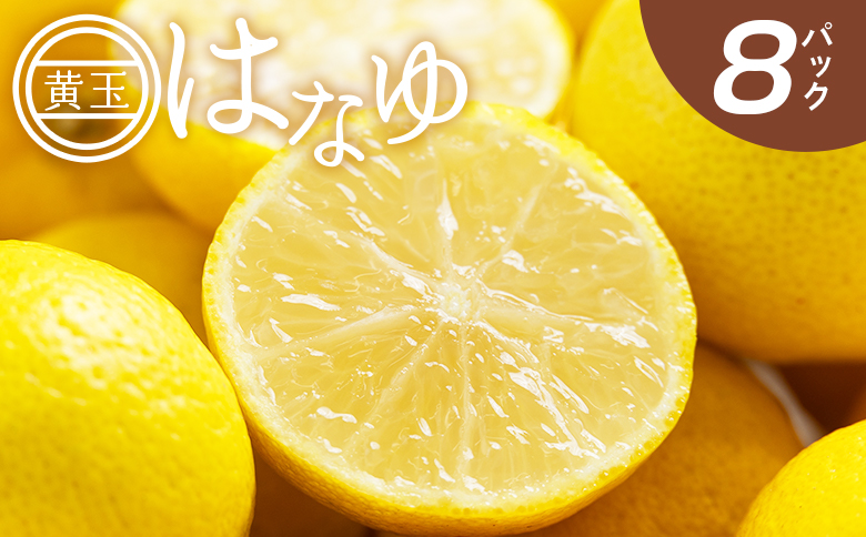 【2026年11月以降順次配送】虎弥太郎 はなゆ黄玉 ８パック - 国産 ゆず 柚子 ユズ 花柚子 柑橘 香酸柑橘 果物 花皮果汁 フルーツ 果実 料理 酒 ハイボール 焼酎 アレンジ 焼き魚 小分け おすそ分け 高知県 香南市 冷蔵 hy-0003