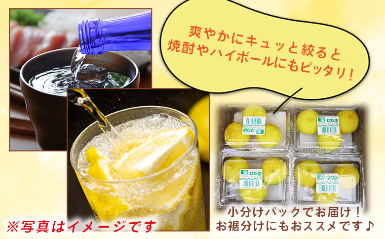 ã2026幎11æä»¥éé æ¬¡é
éãè匥倪é ã¯ãªãé»ç ïŒãã㯠- åœç£ ãã æå ãŠãº è±æå ææ© éŠé
žææ© æç© è±ç®ææ± ãã«ãŒã æå® æç é
ãã€ããŒã« çŒé
ã¢ã¬ã³ãž çŒãé å°åã ãããåã é«ç¥ç éŠååž å·èµ hy-0003