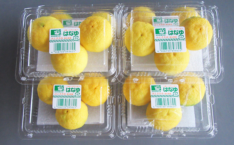 ã2026幎11æä»¥éé æ¬¡é
éãè匥倪é ã¯ãªãé»ç ïŒãã㯠- åœç£ ãã æå ãŠãº è±æå ææ© éŠé
žææ© æç© è±ç®ææ± ãã«ãŒã æå® æç é
ãã€ããŒã« çŒé
ã¢ã¬ã³ãž çŒãé å°åã ãããåã é«ç¥ç éŠååž å·èµ hy-0003