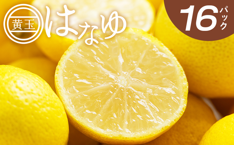 【2026年11月以降順次配送】虎弥太郎 はなゆ黄玉 16パック -  国産 ゆず 柚子 ユズ 花柚子 柑橘 香酸柑橘 果物 花皮果汁 フルーツ 果実 料理 酒 ハイボール 焼酎 アレンジ 焼き魚 小分け おすそ分け 高知県 香南市 冷蔵 hy-0004