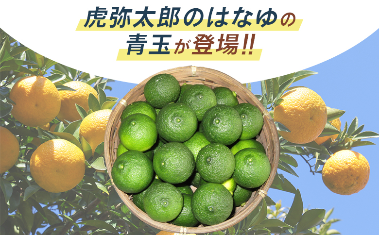 è匥倪é ã¯ãªãéç 16ãã㯠- åœç£ ãã æå ãŠãº è±æå ææ© éŠé
žææ© æç© è±ç®ææ± ãã«ãŒã æå® æç é
ãã€ããŒã« çŒé
ã¢ã¬ã³ãž ãããåã é«ç¥ç éŠååž å·èµ hy-0002