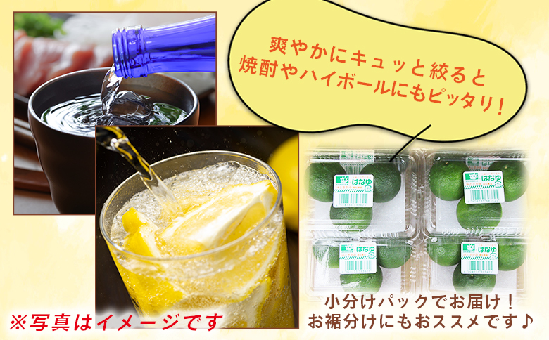 è匥倪é ã¯ãªãéç 16ãã㯠- åœç£ ãã æå ãŠãº è±æå ææ© éŠé
žææ© æç© è±ç®ææ± ãã«ãŒã æå® æç é
ãã€ããŒã« çŒé
ã¢ã¬ã³ãž ãããåã é«ç¥ç éŠååž å·èµ hy-0002