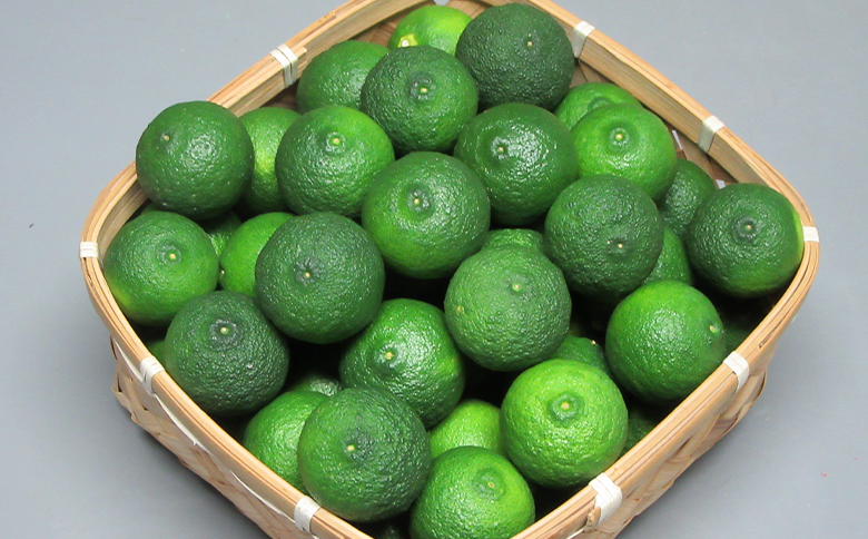 è匥倪é ã¯ãªãéç 16ãã㯠- åœç£ ãã æå ãŠãº è±æå ææ© éŠé
žææ© æç© è±ç®ææ± ãã«ãŒã æå® æç é
ãã€ããŒã« çŒé
ã¢ã¬ã³ãž ãããåã é«ç¥ç éŠååž å·èµ hy-0002