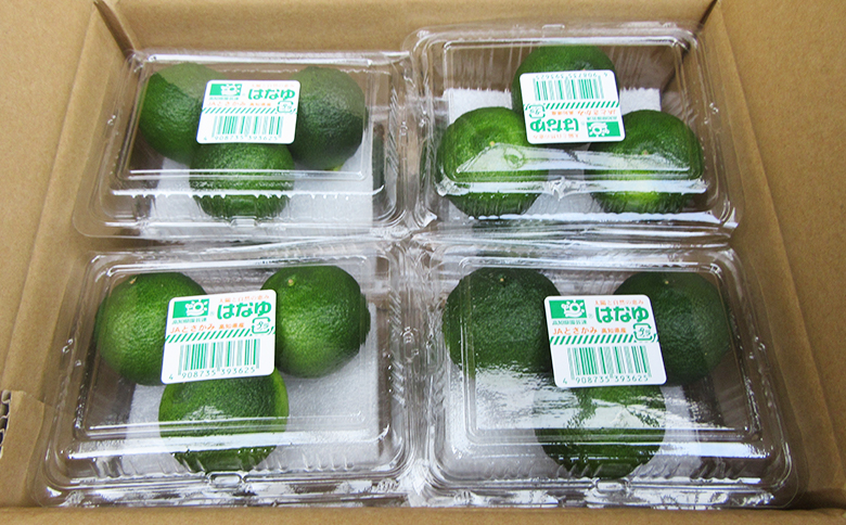 è匥倪é ã¯ãªãéç 16ãã㯠- åœç£ ãã æå ãŠãº è±æå ææ© éŠé
žææ© æç© è±ç®ææ± ãã«ãŒã æå® æç é
ãã€ããŒã« çŒé
ã¢ã¬ã³ãž ãããåã é«ç¥ç éŠååž å·èµ hy-0002