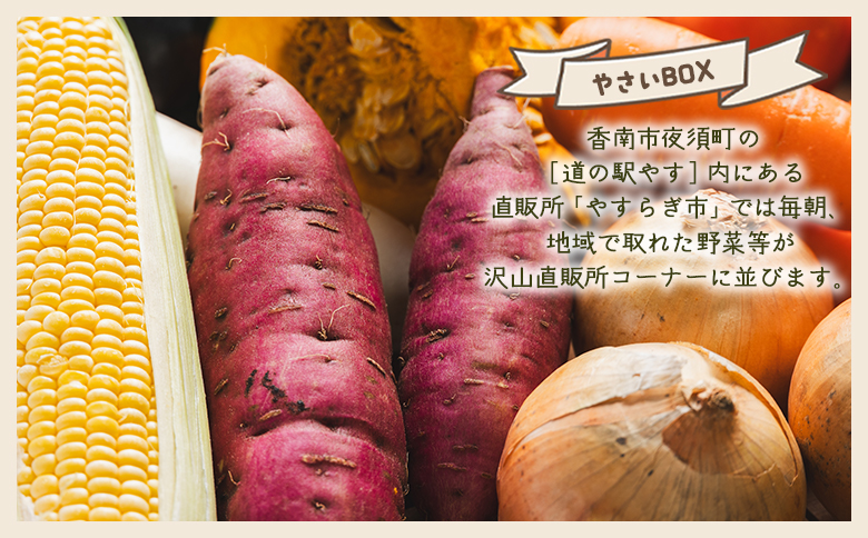 ãïŒåå®æäŸ¿ãããããåž ç£å°çŽéãããïŒ7çš®é¡ååŸïŒ - éè ããžã¿ãã« ããŸãã è©°ãåãã ã»ãã å£ç¯ æ¬ ãä»»ã ãæ¥œãã¿ ãã«ã·ãŒ åœç£ ç¹ç£å éæç¡æ ããããåž é«ç¥ç éŠååž Wyr-0037