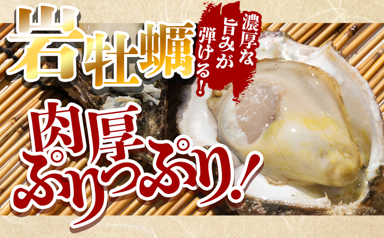 ＜先行予約＞岩牡蠣(殻付き) 2kg 冷蔵 加熱用＜出荷期間：2026年5月～10月＞国産 カキ かき 牡蠣 魚介 海鮮 貝類 殻つき 天然 産地直送 肉厚 フライ 焼き牡蠣 海の幸 えび蔵 高知県 香南市 冷蔵 eb-0034