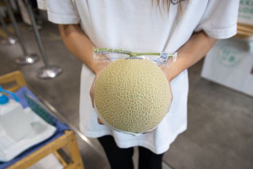 ãçºééå§ãããã©ã³ãã¡ãã³ããšã¡ã©ã«ãã¡ãã³ 2çïŒ1.5kgã1.8kgÃ2åïŒ- ãã¬ãææ¥ãã¶ã¯ã€ã!éææ¥ãã§ç¹é çŽ¹ä» éæç¡æ æç© ãã ãã® ãã«ãŒã ããã éè èŽççš èŽãç© ã®ã ãè€çŸ ã瀌 埡瀌 ãç¥ã åŸ¡ç¥ ã®ãã é«çŽã¡ãã³ ç£å°çŽé é«ç¥ç éŠååž yu-0025