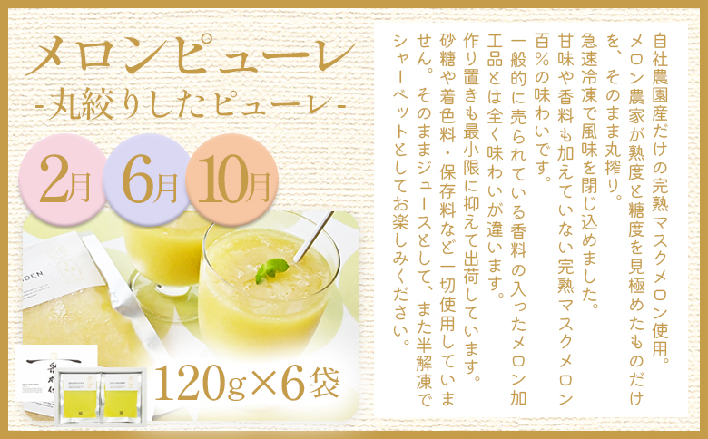 【12回定期便】メロン堪能定期便 - 国産 マスクメロン 完熟 赤肉 青肉 家庭用 フルーツ 果物 ピューレ シャーベット 飲み物 飲料 フルーツジュース 篤農 高知県 香南市 常温 冷凍 Wtn-0044