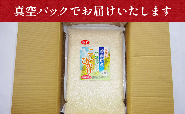 【7日程度で発送】令和7年産 コシヒカリ 無洗米 特別栽培米 真空パック 5kg - 国産 米 お米 おこめ こしひかり 白米 ごはん おにぎり おむすび ご飯 防災 非常食 備蓄 農業公社 高知県 香南市 nu-0002