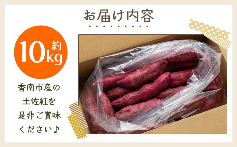 【2025年出荷分】さつまいも（土佐紅）10kg - サツマイモ さつま芋 野菜 焼き芋 やきいも 焼いも おやつ スイーツ スイートポテト バター焼き アレンジ 料理 国産 高知県 香南市 yr-0046