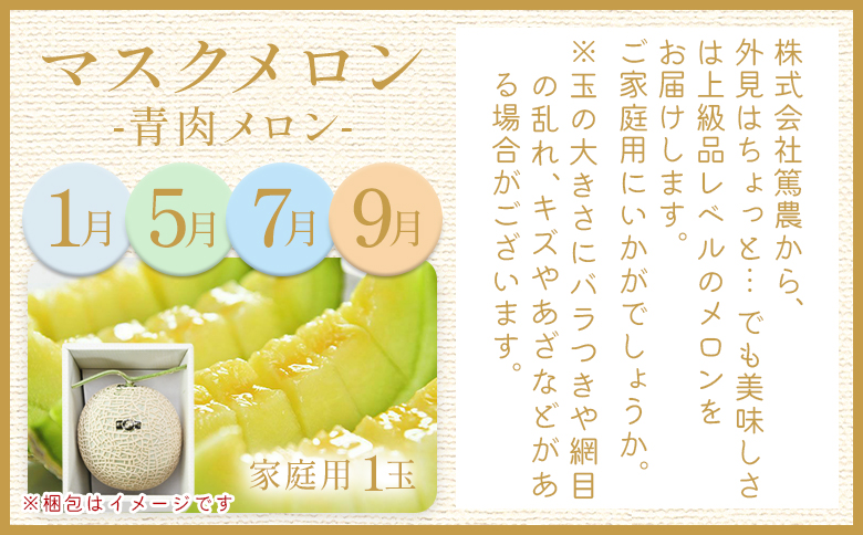 【12回定期便】メロン堪能定期便 - 国産 マスクメロン 完熟 赤肉 青肉 家庭用 フルーツ 果物 ピューレ シャーベット 飲み物 飲料 フルーツジュース 篤農 高知県 香南市 常温 冷凍 Wtn-0044