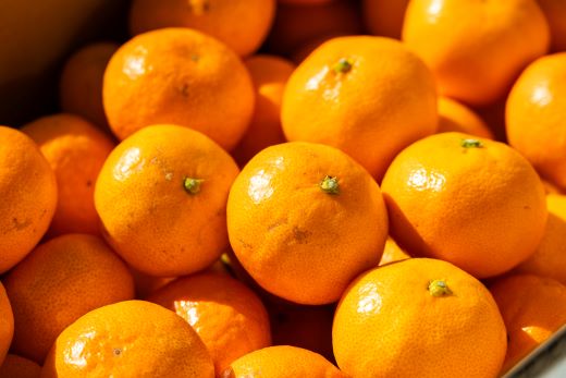 【2026年出荷分】訳あり 露地みかん(2S～Mサイズ) 5kg＋約100g (傷み補償分) 丸萬農園 - 果物 くだもの フルーツ 果実 柑橘 かんきつ 蜜柑 みかん ミカン 果汁 期間限定 家庭用 訳アリ キズ 傷 年内発送 高知県 香南市 常温 mn-0012