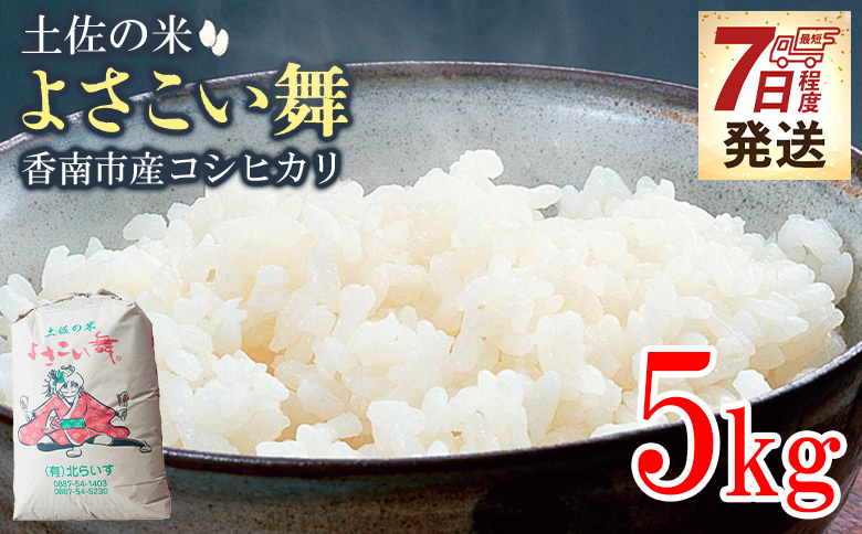 【7日程度で発送】新米 令和7年産 コシヒカリ 土佐の米 よさこい舞 5kg - 送料無料 こしひかり 米 コメ おこめ 白ご飯 ごはん おにぎり 一人暮らし ひとりぐらし 贈り物 ギフト 贈答 早い 早く届く スピード発送 高知県 香南市 kr-0071