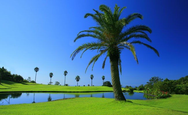 Kochi 鮟呈スョ繧ォ繝ウ繝医Μ繝シ繧ッ繝ゥ繝 繧エ繝ォ繝 繝励Ξ繝シ蛻ク 3,000蜀蛻 - 繧エ繝ォ繝募エ 繝√こ繝繝 繝励Ξ繝シ蛻ク 繝ゥ繧ヲ繝ウ繝 繧ウ繝シ繧ケ 雜」蜻ウ 菴馴ィ 繧ケ繝昴シ繝 繧「繧ヲ繝医ラ繧「 鮟呈スョ隕ウ蜈蛾幕逋コ譬ェ蠑丈シ夂、セ 鬮倡衍逵 鬥吝漉蟶 ki-0001