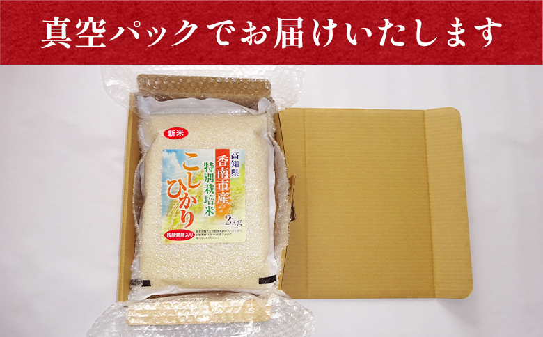 【7日程度で発送】令和7年産 コシヒカリ 無洗米 特別栽培米 真空パック 2kg - 国産 米 お米 おこめ こしひかり 白米 ごはん おにぎり おむすび ご飯 防災 非常食 備蓄 農業公社 高知県 香南市 nu-0001