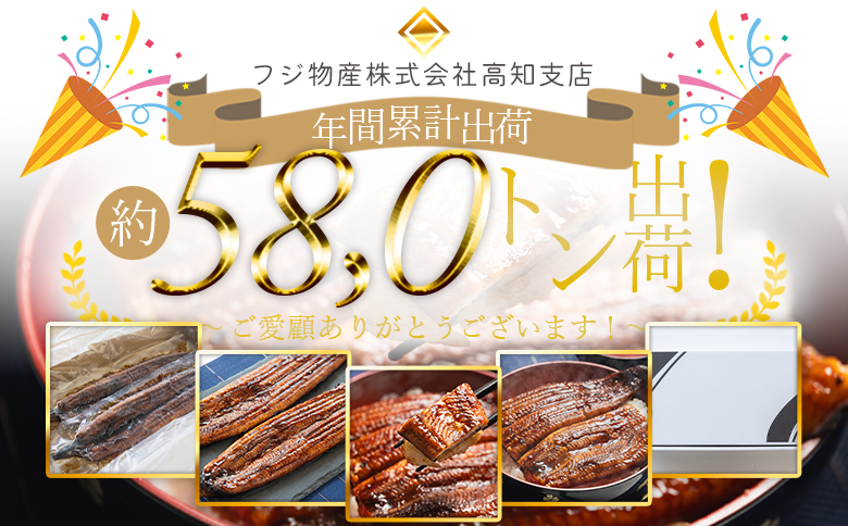 うなぎ蒲焼き 約200g×2尾(高知県産鰻) フジ物産 国産養殖 fb-0139
